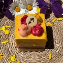 LEFLEURY-2-3-sorbet-entremets-lesloupsgivres.jpeg