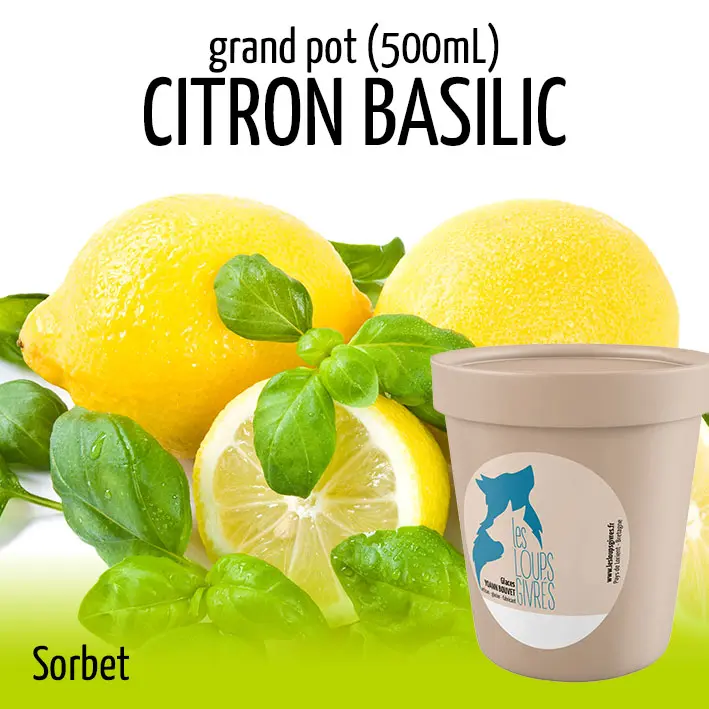 CITRON BASILIC BIO grand pot