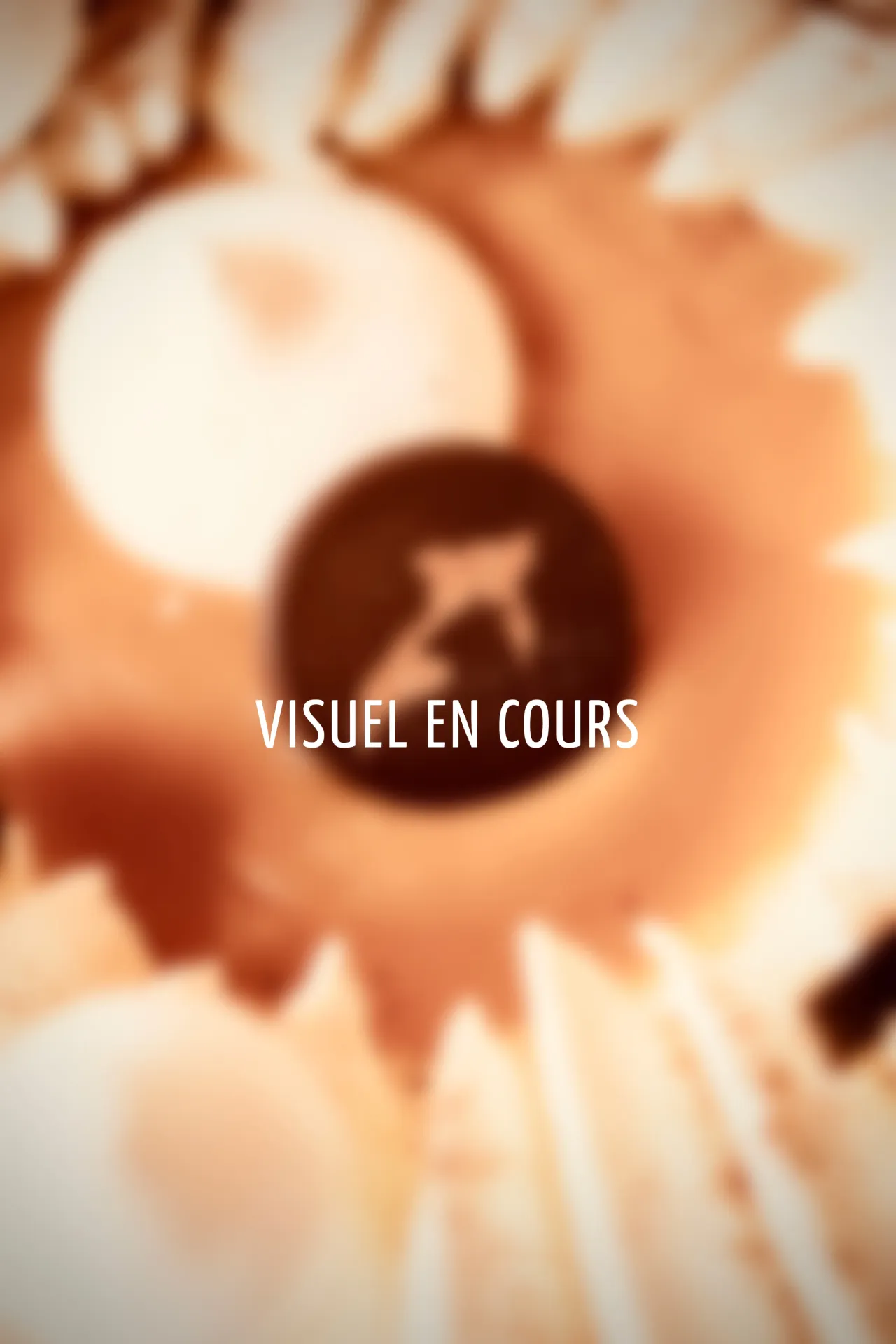 10/12p POMME - MANGUE vacherin