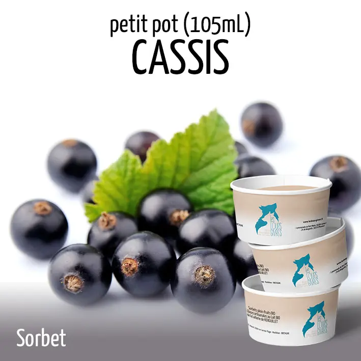 CASSIS BIO petit pot