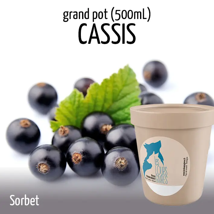 CASSIS BIO grand pot