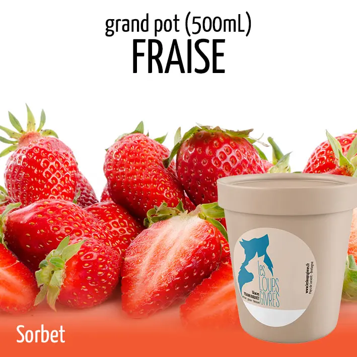 FRAISE BIO grand pot