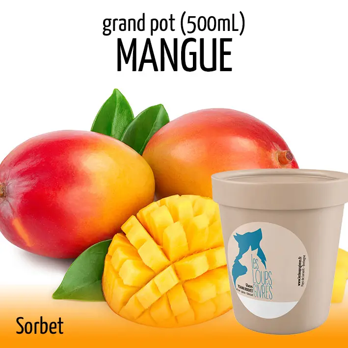 MANGUE grand pot