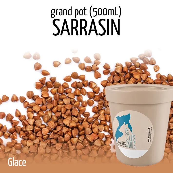SARRASIN  grand pot