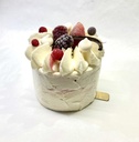 vacherin 2/3p VANILLE de Madagascar - FRAISE
