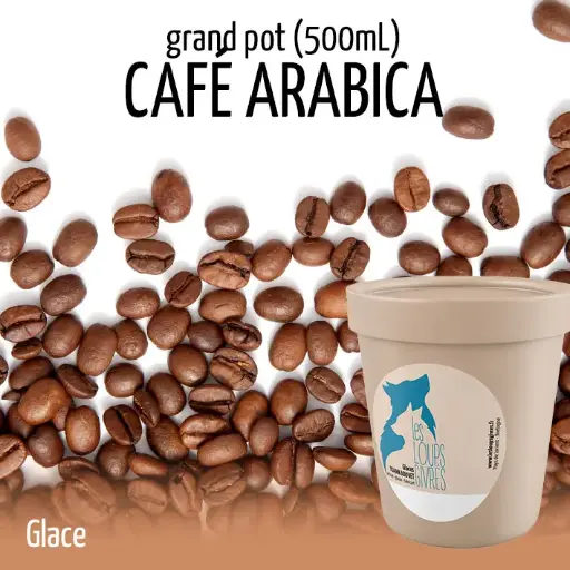 CAFÉ ARABICA BIO grand pot