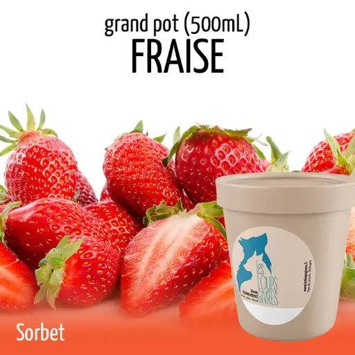 FRAISE BIO grand pot
