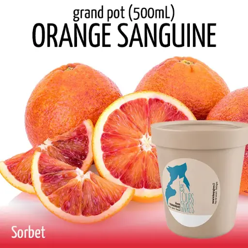 ORANGE SANGUINE grand pot